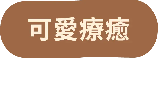 可愛療癒